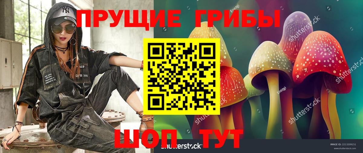 Галлюциногенные грибы Psilocybine cubensis  Псилоцибиновые грибы Psilocybine cubensis  Вход с VPN  Солнечногорск 